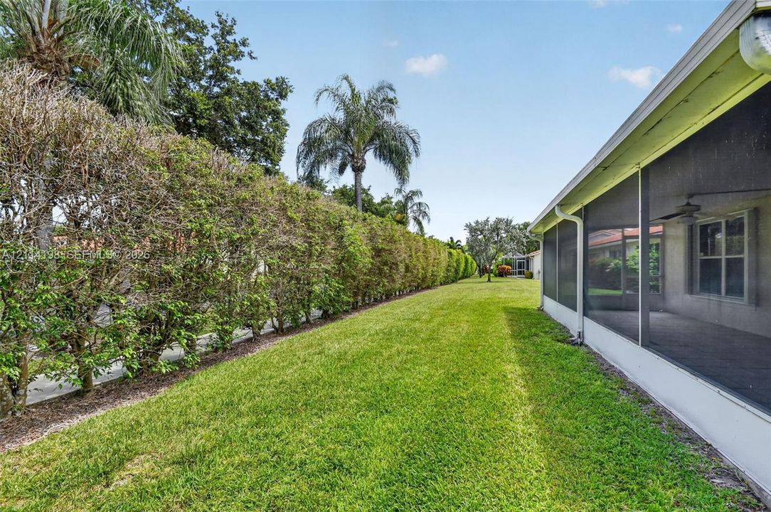 Screened-in patio enclosure featuring a sprawling side lawn, tall privacy hedging, and mature palm trees