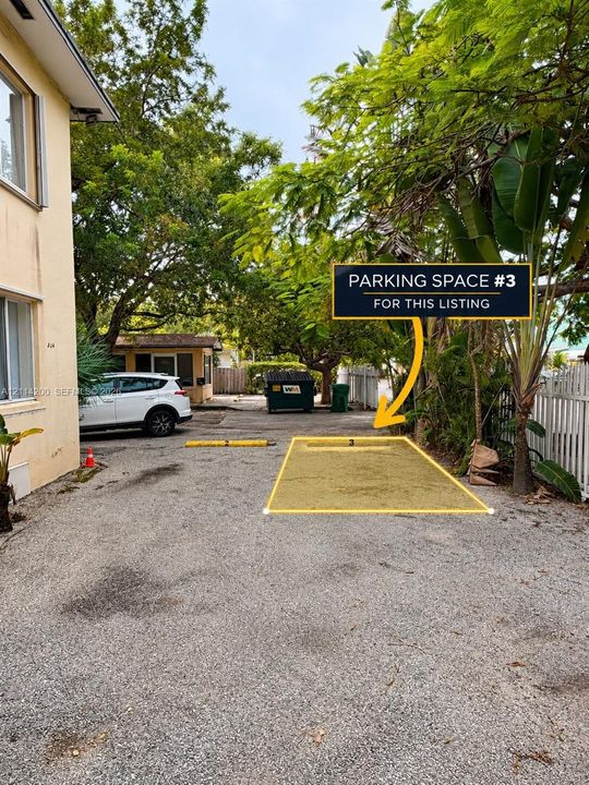 Designated paved parking space featuring yellow stall markings and mature trees