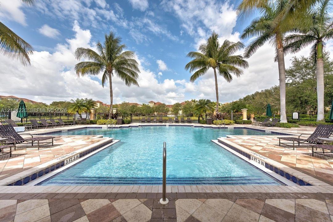 Swimming pool featuring stone paver decking, tiled waterline, integrated steps, and mature palm trees