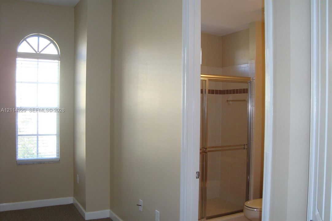Arched window with muntin detailing and glass-enclosed shower stall