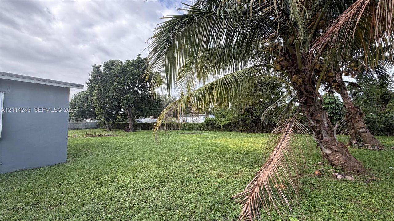 Expansive backyard featuring mature palm trees, established landscaping, and a fenced perimeter