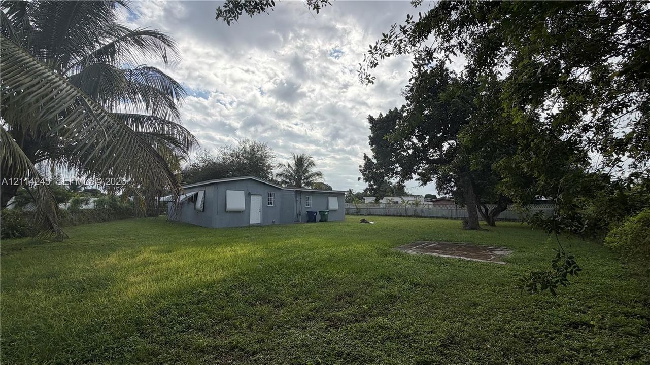 Expansive backyard featuring a large grass lawn, mature trees, and palms