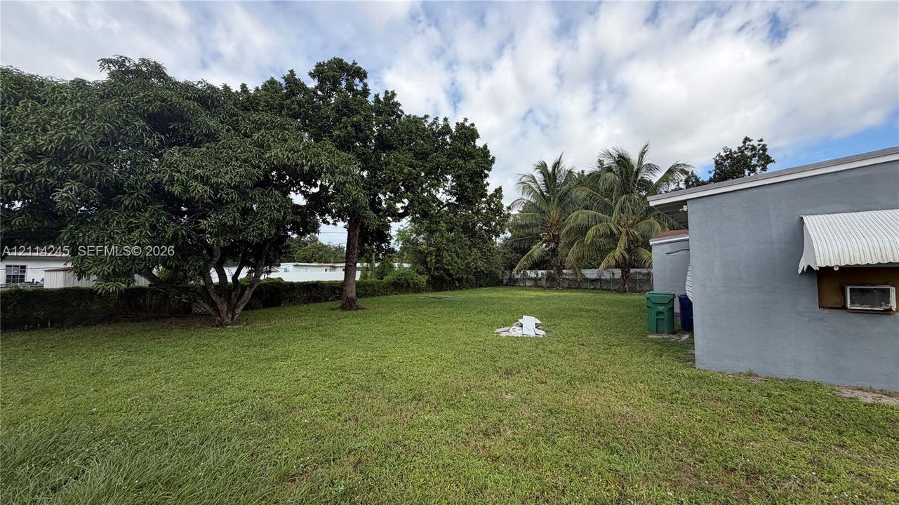 Expansive backyard featuring mature shade trees, palm trees, and perimeter hedging
