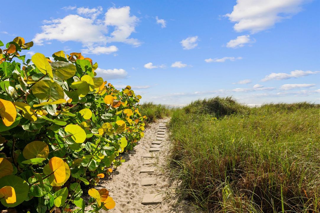 Deeded Beach Entry Path 4