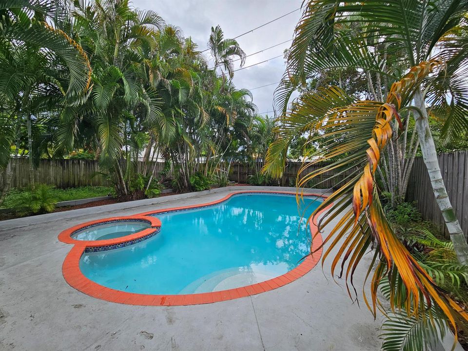 Swimming pool 1