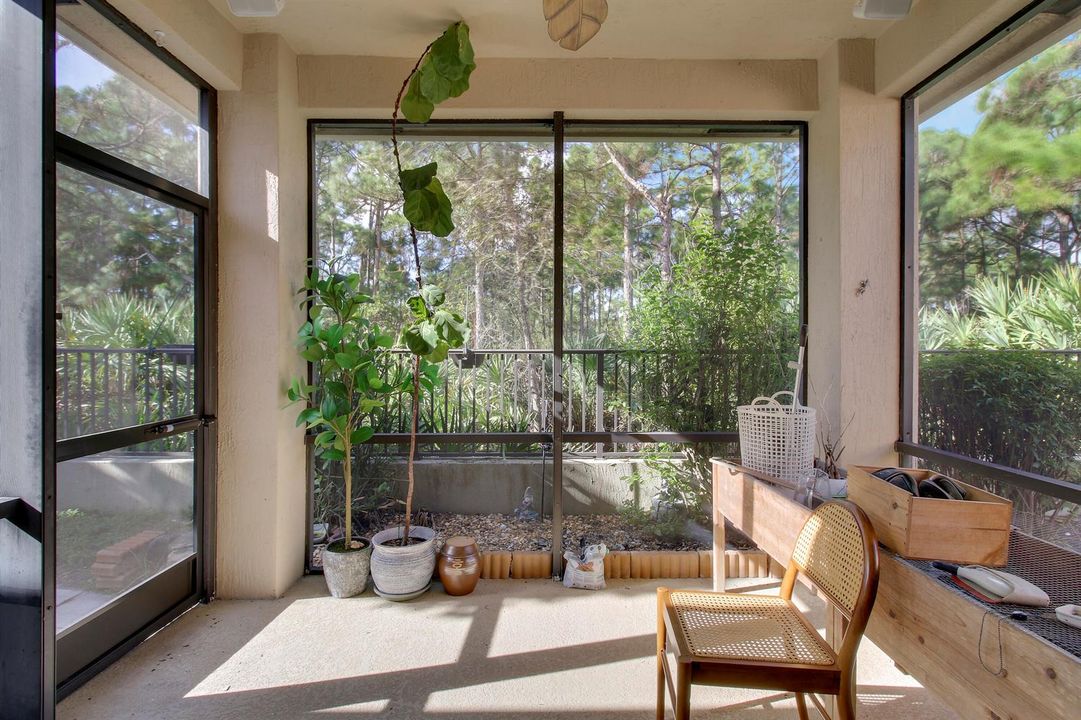Screened Patio