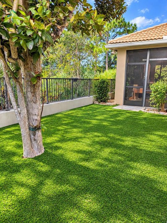 Backyard