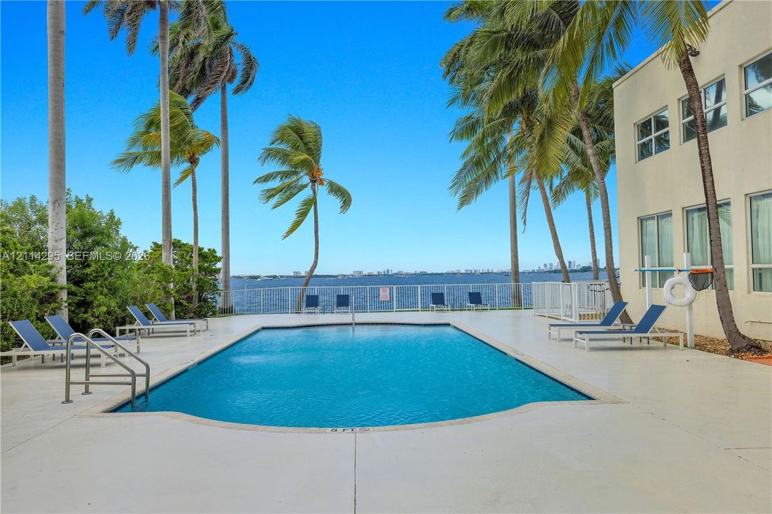 Swimming pool with concrete pool deck, mature palm trees, and perimeter fencing, featuring water frontage