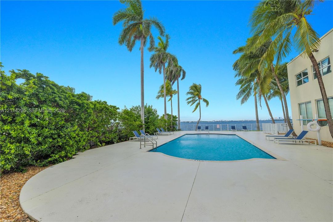 Waterfront swimming pool with expansive paved deck, palm tree landscaping, and perimeter fencing