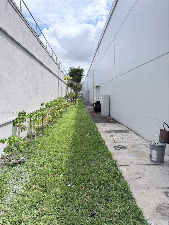 Exterior side corridor featuring smooth stucco walls, concrete pavement, and a manicured grass strip with young plantings