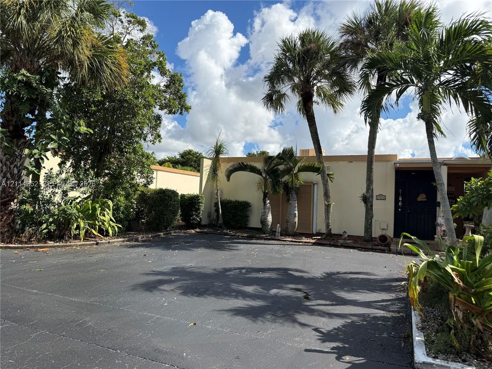 Asphalt-paved motor court featuring mature palm trees and established perimeter landscaping