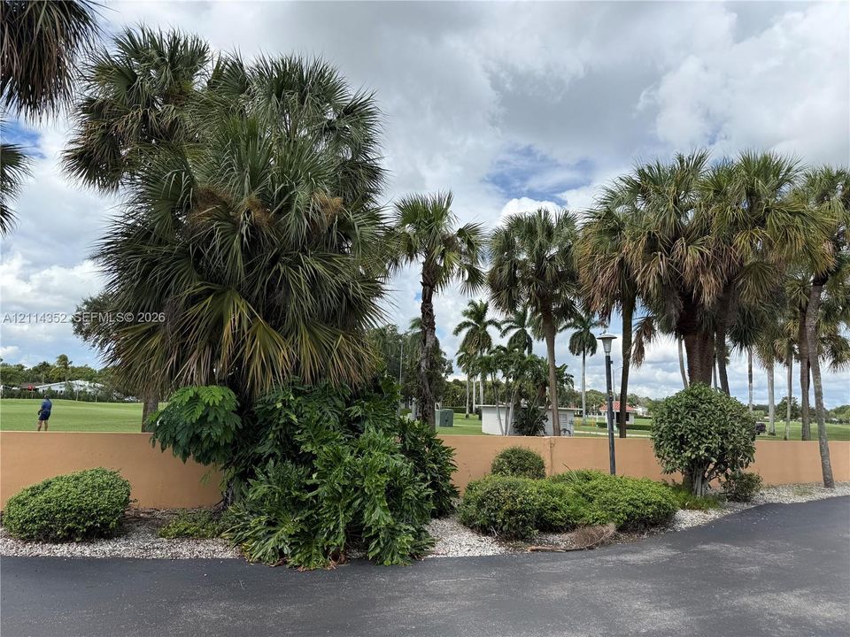Landscaped exterior grounds featuring mature palm trees, sculpted shrubbery, decorative rock ground cover, and a solid perimeter wall