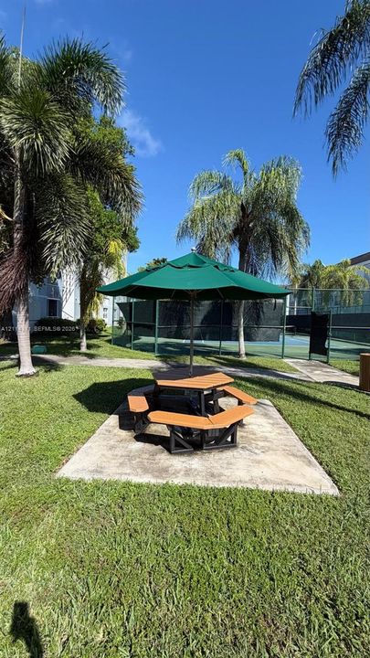 Common area featuring a paved seating pad, mature palm trees, and an enclosed sports court