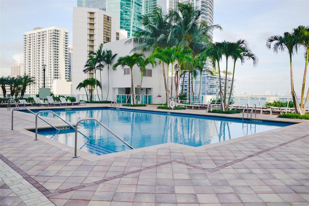 Outdoor swimming pool featuring a paved stone deck, metal handrails, and surrounding mature palm trees