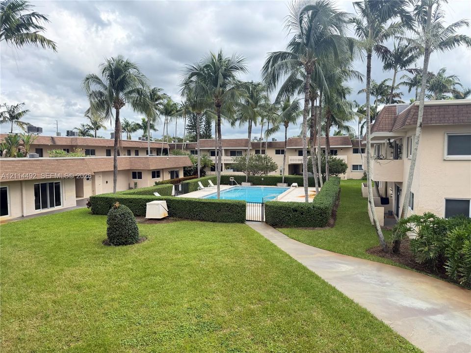 Communal swimming pool enclosed by privacy hedges, surrounded by manicured lawn and mature palm trees, featuring concrete pathways