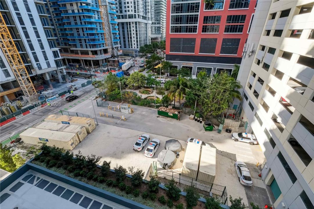 Urban outdoor space featuring mature palm trees, landscaped garden beds, and paved ground cover