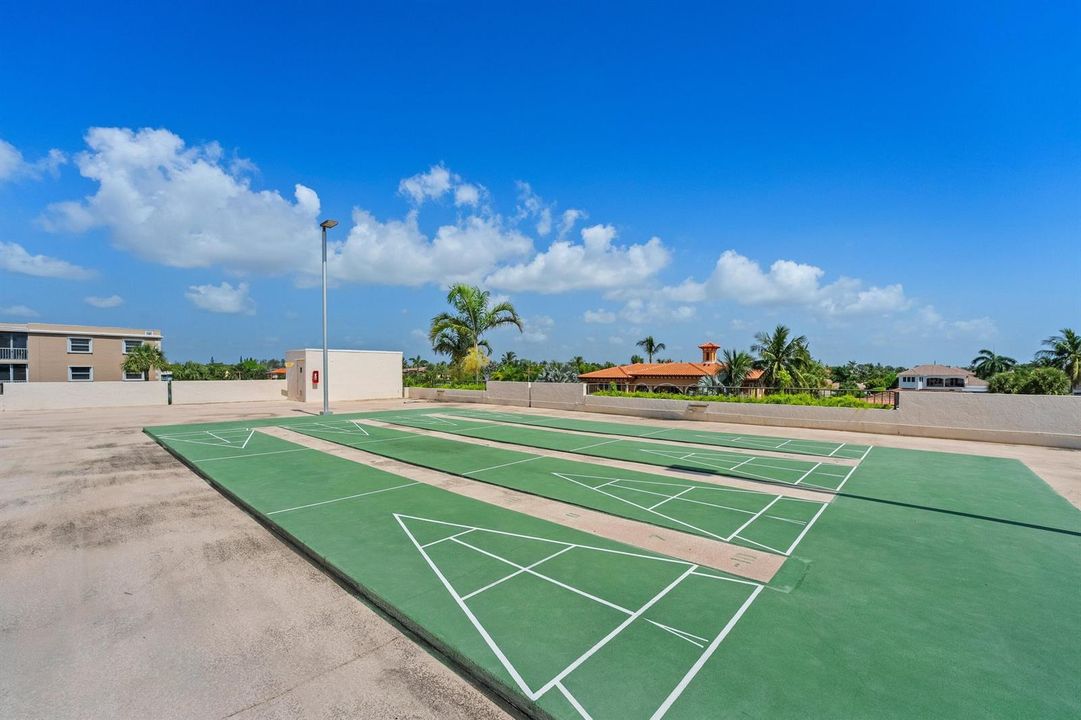 Shuffleboard