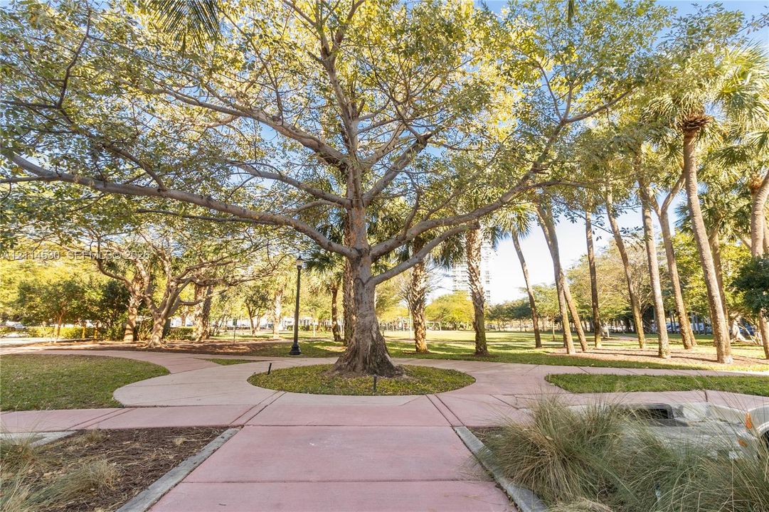 Ground-level exterior featuring paved pedestrian pathways, mature deciduous trees, established palm trees, and manicured lawn areas