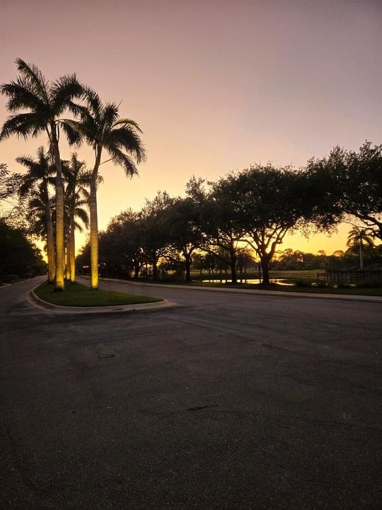 Twilight Entrance