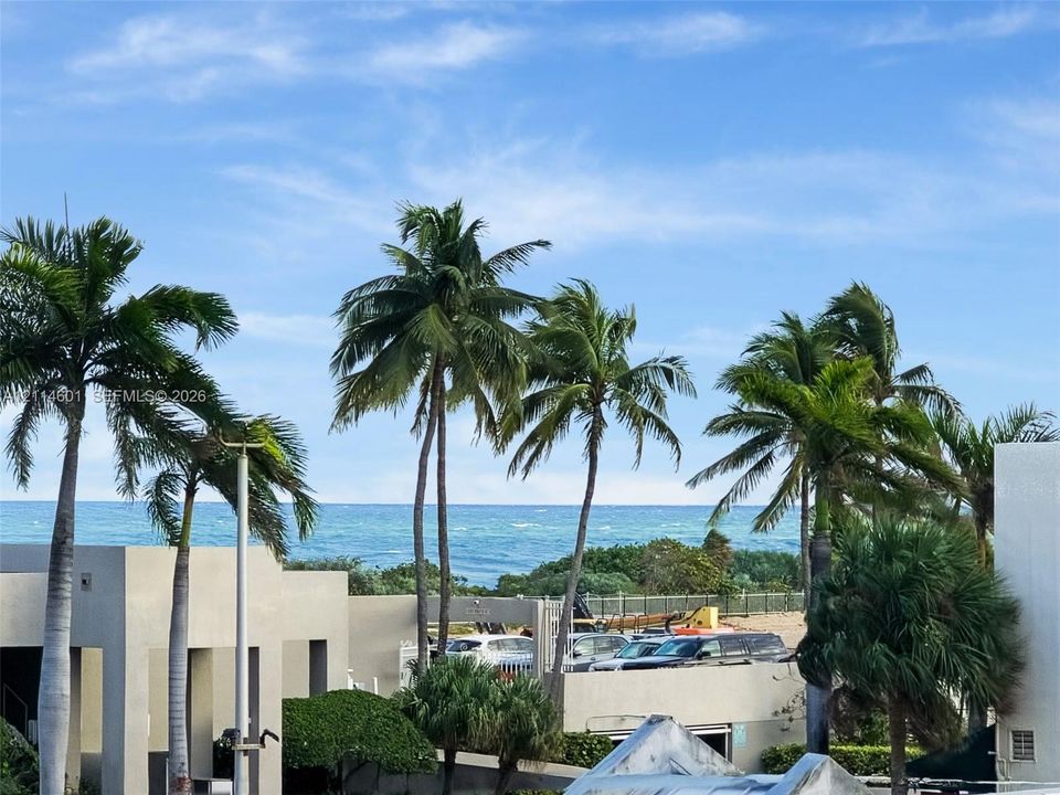 Oceanfront exterior featuring mature palm trees, concrete architectural elements, and proximity to the coastline