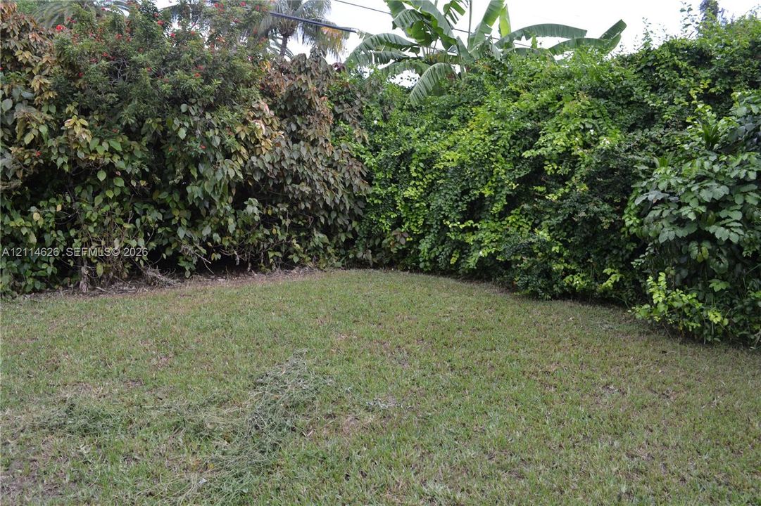 Backyard featuring a grass lawn enclosed by mature hedges and tropical foliage