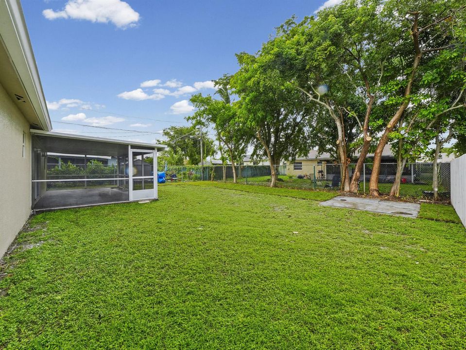 7 Backyard (1)