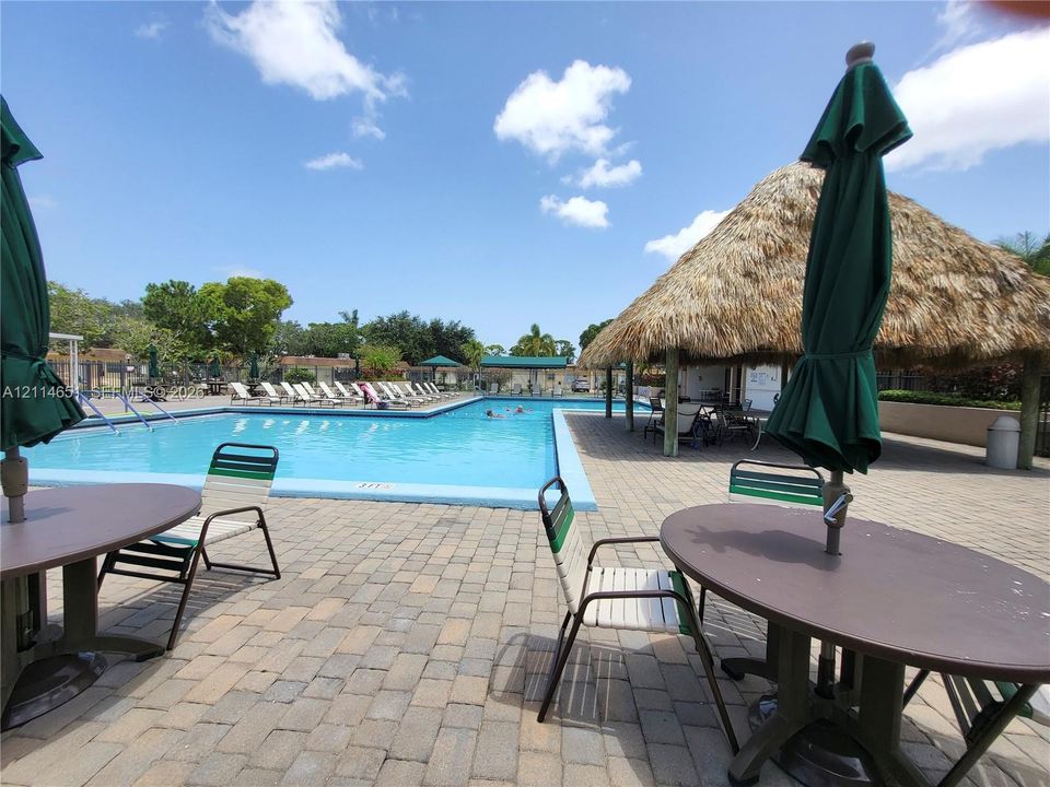 In-ground swimming pool featuring a paved surround and a large thatched-roof pavilion