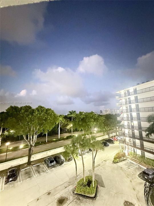Exterior perspective featuring a multi-story building, dedicated surface parking, mature palm trees, and established landscaping