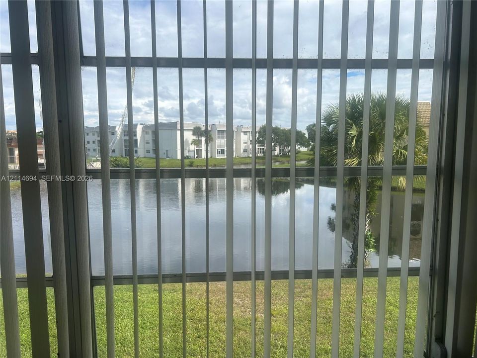 Vertical blind window treatment overlooking a pond, manicured lawn, and mature palm tree