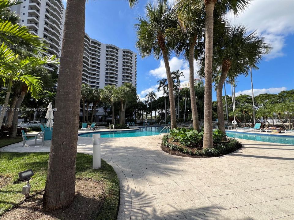 Outdoor swimming pool area featuring paved stone decking, mature palm trees, landscaped garden beds, and metal ladder access