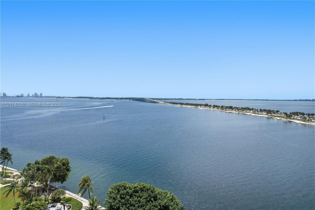 Elevated coastal scenery featuring an expansive bay, a distant bridge, and mature palm trees situated on the property grounds