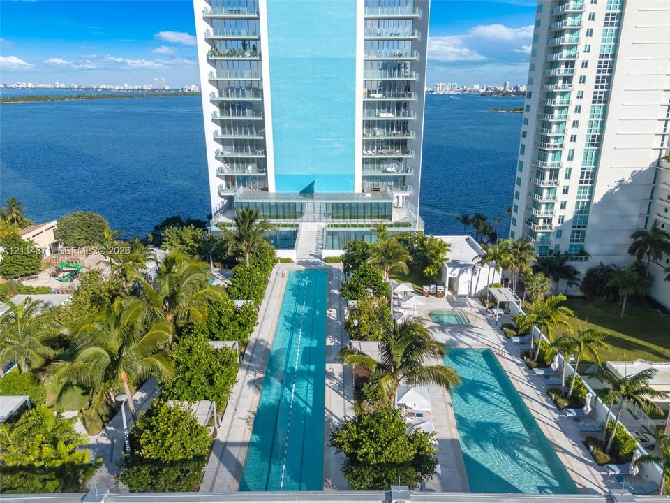 High-rise waterfront exterior featuring multiple lap-style swimming pools, sprawling paved sun deck, mature palm landscaping, and expansive open-water backdrop