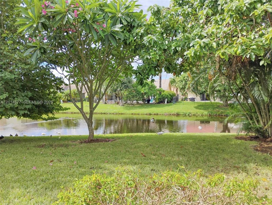 Waterfront property grounds featuring a manicured lawn, established landscaping, and mature trees