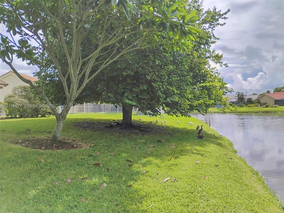 For Rent: $3,800 (3 beds, 2 baths, 2233 Square Feet)