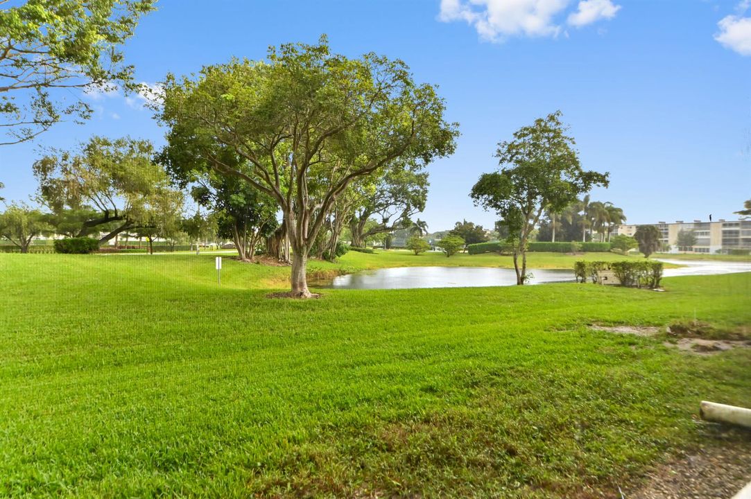 02 Lake view
