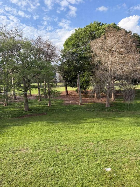 Expansive lawn area featuring mature trees and established perimeter landscaping