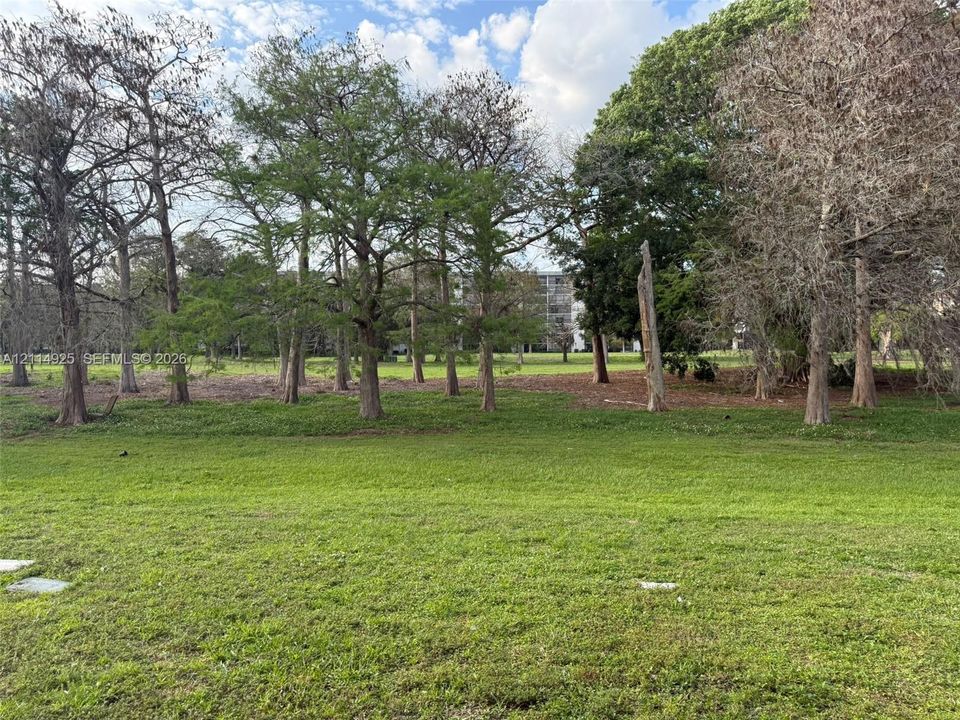 Expansive grassy lot featuring mature trees and established landscaping