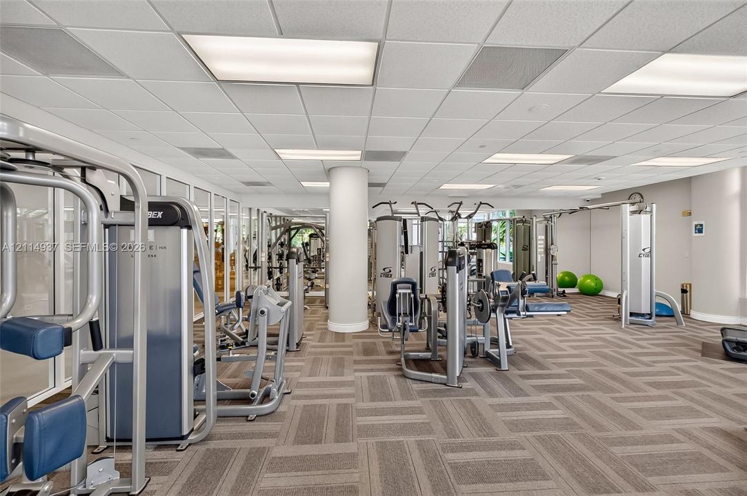 Fitness center featuring a suspended drop ceiling, recessed panel lighting, structural columns, and modular carpet tiling