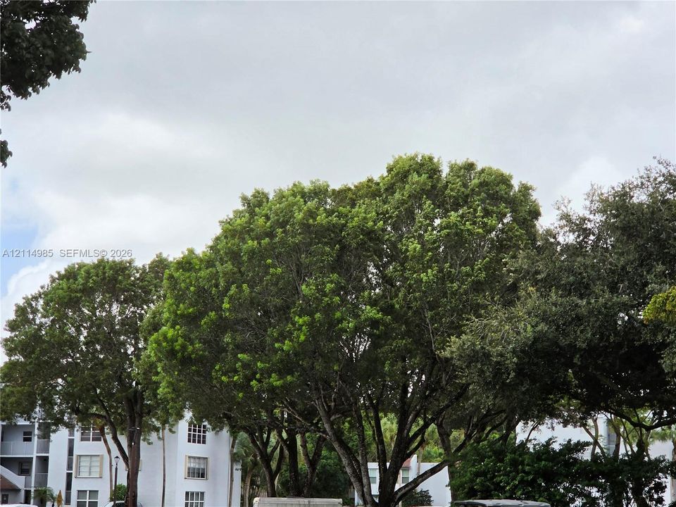 For Rent: $1,740 (1 beds, 1 baths, 654 Square Feet)