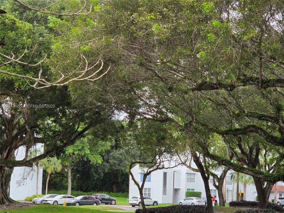 Exterior facade featuring a light-toned finish, multi-level structural design, and mature canopy trees across the grounds