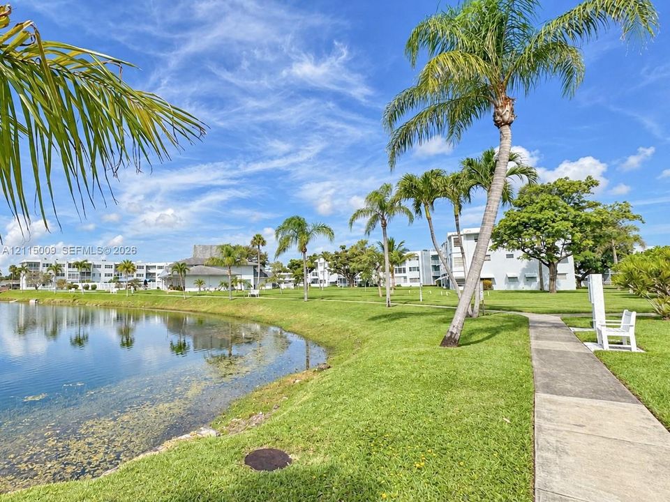 Waterfront grounds featuring a concrete walking path, manicured lawn, and mature palm trees