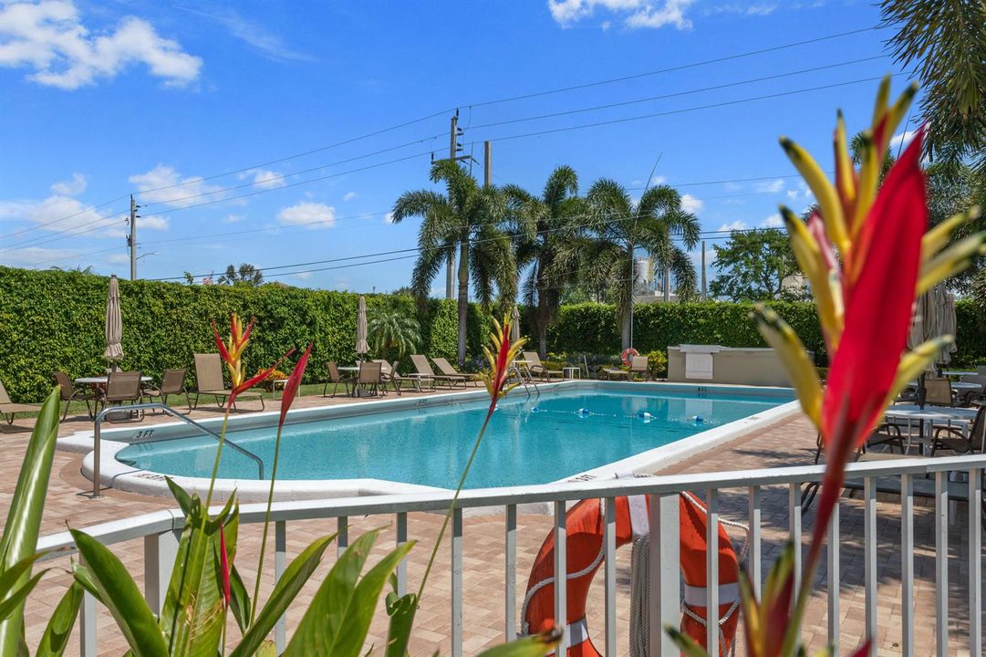 Community Pool