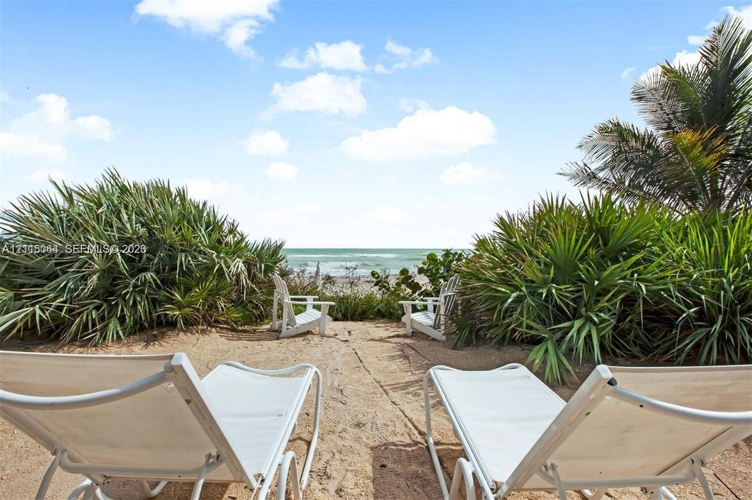Direct coastal access featuring sandy terrain, tropical vegetation, and mature palm trees