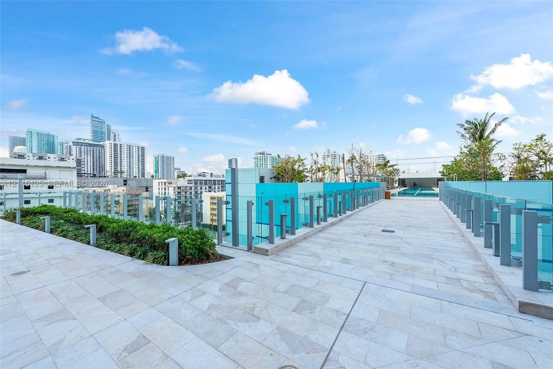 Rectangular swimming pool featuring stone paver decking, stainless steel entry rails, and integrated landscape planting beds with mature palm trees