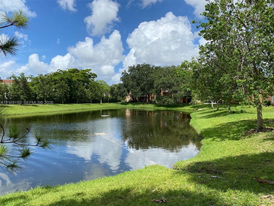 Waterfront grounds featuring a natural pond, expansive grassy lawns, and mature canopy trees
