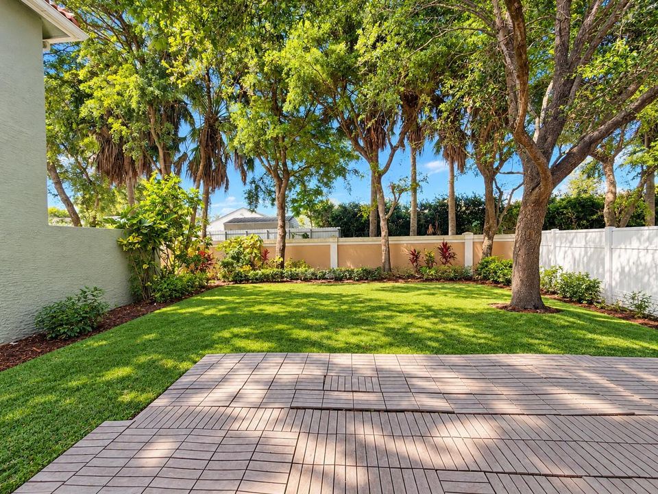 Sunlit Tropical Backyard Patio