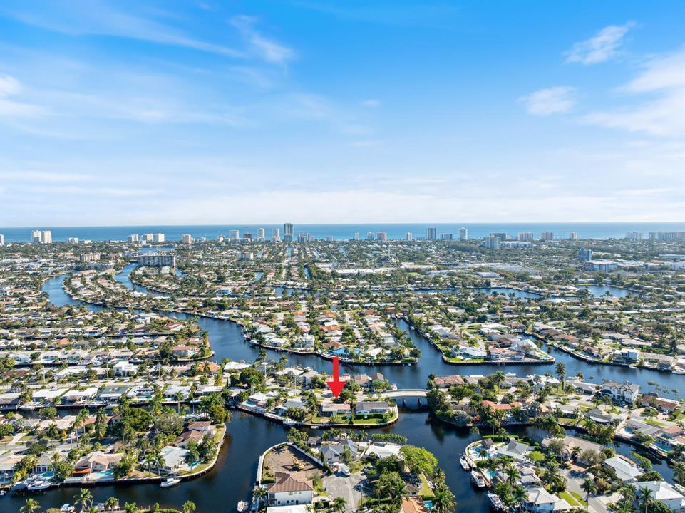 AERIAL