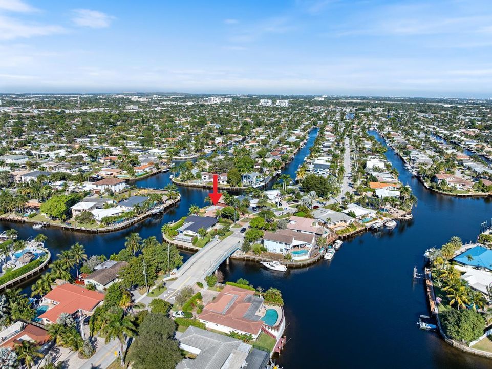 AERIAL