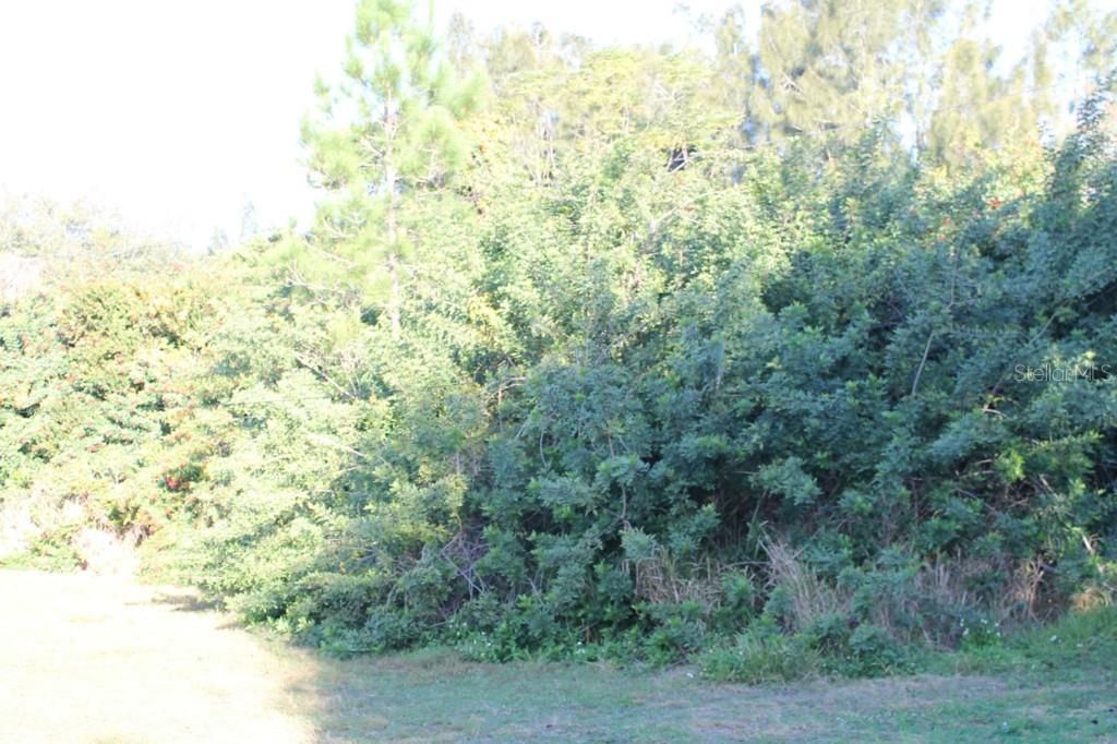 Recently Sold: $6,500 (0.22 acres)