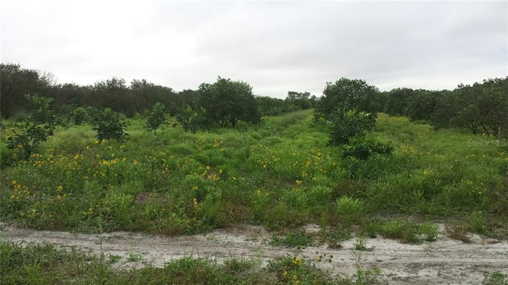 最近售出: $3,500,000 (26.11 acres)